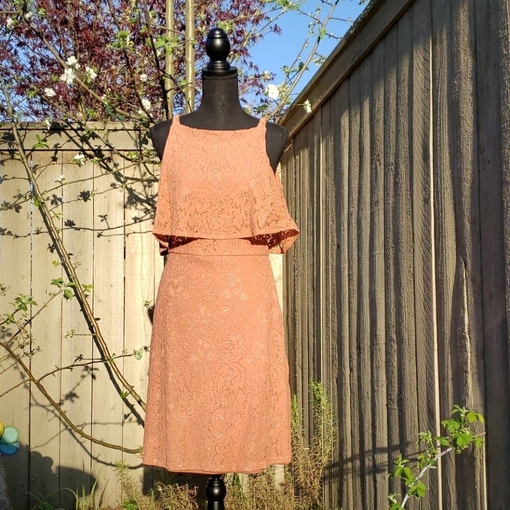 EUC Shilla Superior Lace Dress - Medium